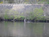 Dougie G On Tummel