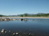 River Tummel 2012