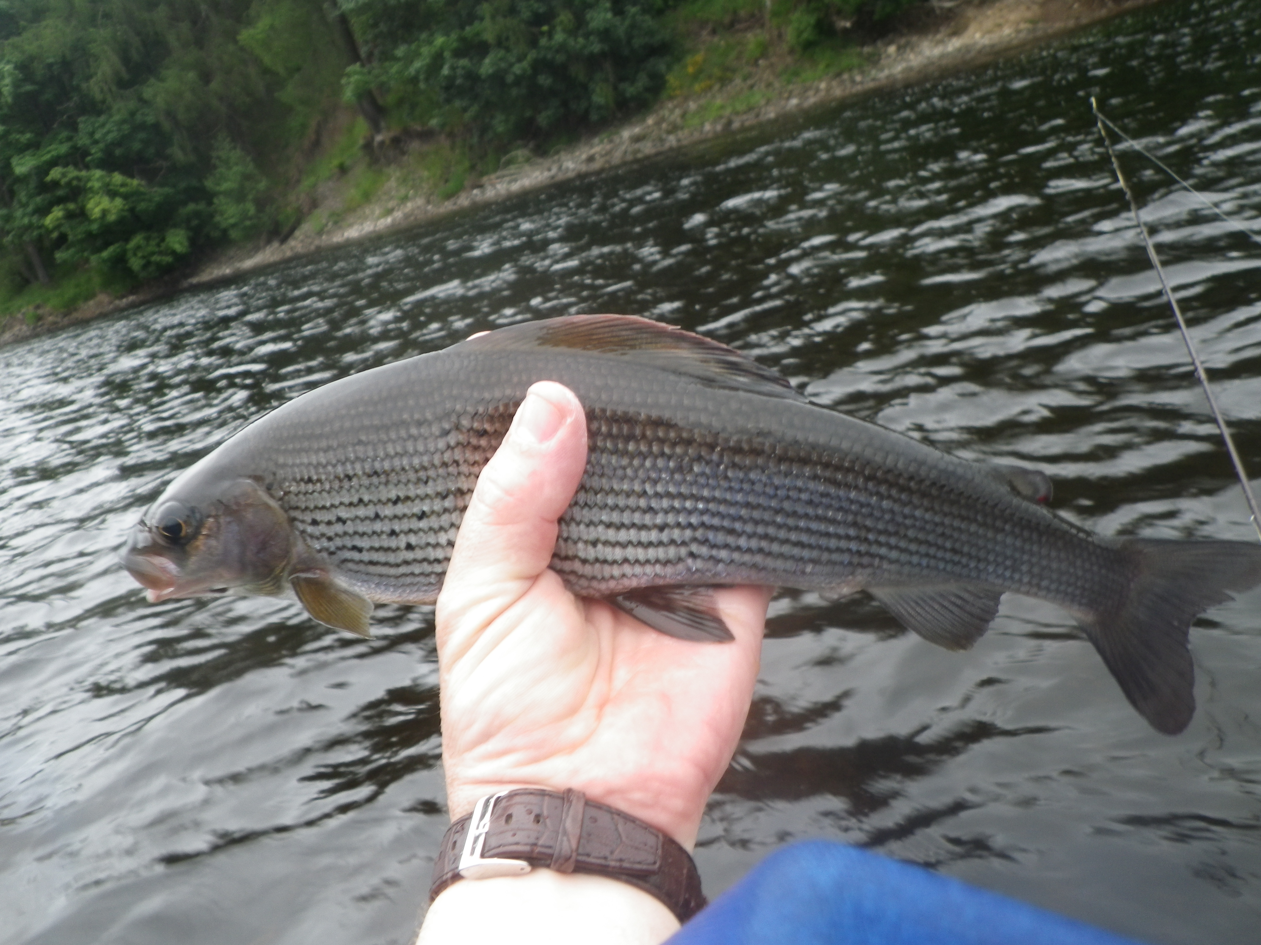 Dave Downie Fishing Experienced