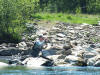 River Tummel