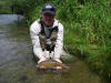 River San Grayling